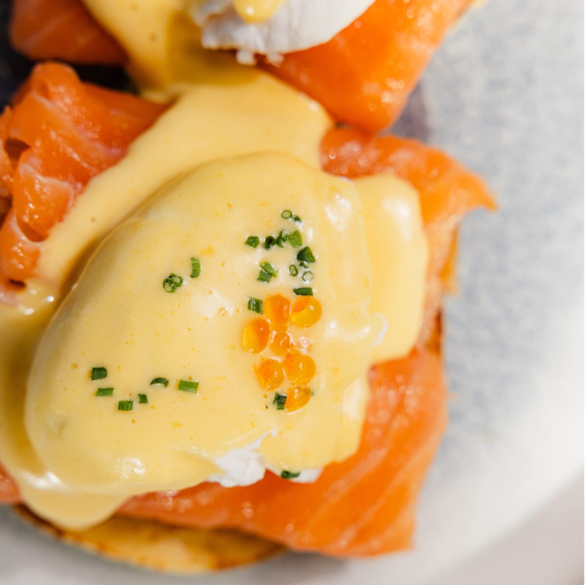 Clarets Bar and Bistro St Andrews