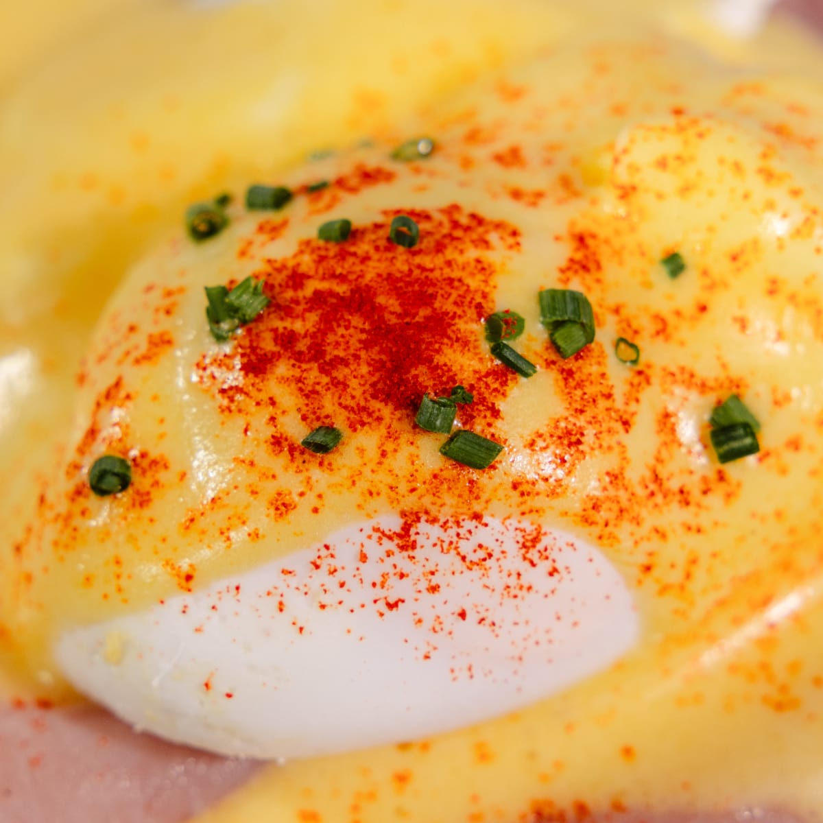 Clarets Bar and Bistro St Andrews